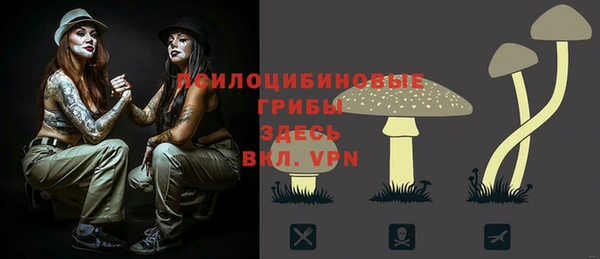 молекула духа Магадан