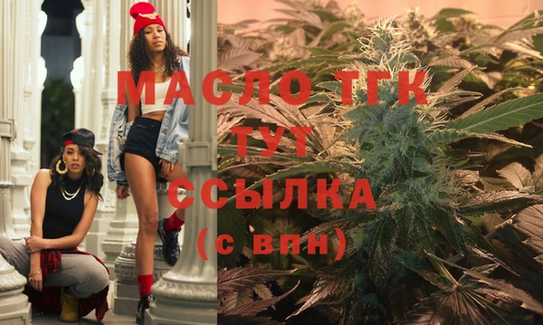 герыч Мегион